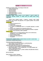 Konspekts 'Viss par betonu', 12.