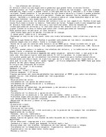 Eseja 'Ectasy, un problema para los jóvenes hoy en día.', 2.