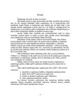 Biznesa plāns 'Mārketinga plāns SIA "LMT"', 3.