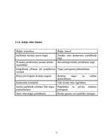 Biznesa plāns 'Mārketinga plāns SIA "LMT"', 15.