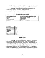 Biznesa plāns 'Mārketinga plāns SIA "LMT"', 33.