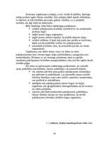 Biznesa plāns 'Mārketinga plāns SIA "LMT"', 46.