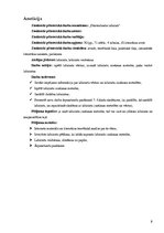 Prezentācija 'Pārsteidzošie labirinti', 2.