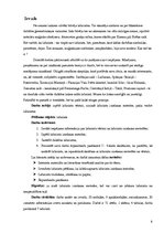 Prezentācija 'Pārsteidzošie labirinti', 5.