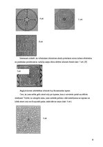 Prezentācija 'Pārsteidzošie labirinti', 9.