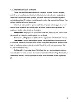 Prezentācija 'Pārsteidzošie labirinti', 12.