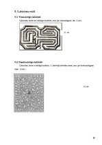 Prezentācija 'Pārsteidzošie labirinti', 13.