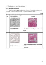 Prezentācija 'Pārsteidzošie labirinti', 14.