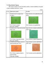 Prezentācija 'Pārsteidzošie labirinti', 21.