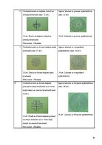 Prezentācija 'Pārsteidzošie labirinti', 22.