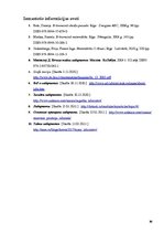 Prezentācija 'Pārsteidzošie labirinti', 30.