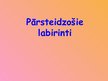 Prezentācija 'Pārsteidzošie labirinti', 35.