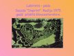 Prezentācija 'Pārsteidzošie labirinti', 40.