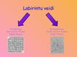 Prezentācija 'Pārsteidzošie labirinti', 48.