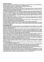 Referāts 'Eksāmena atbildes civiltiesībās', 5.