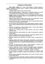 Eseja 'Džudo kluba "Lido" ētikas kodeksa vērtējums', 3.