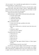 Prakses atskaite 'Kvalifikācijas prakse komercdarbībā un uzņēmuma vadībā', 7.