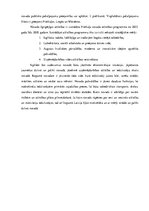 Prakses atskaite 'Kvalifikācijas prakse komercdarbībā un uzņēmuma vadībā', 8.