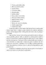 Prakses atskaite 'Kvalifikācijas prakse komercdarbībā un uzņēmuma vadībā', 15.