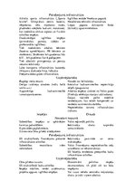 Prakses atskaite 'Kvalifikācijas prakse komercdarbībā un uzņēmuma vadībā', 19.