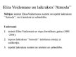 Prezentācija 'Elita Veidemane un laikraksts "Atmoda"', 2.