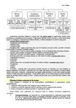 Konspekts 'Uzņēmuma stratēģija', 3.