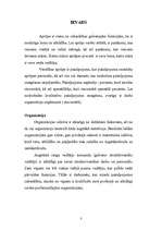 Prakses atskaite 'Darba vadītājs', 2.