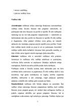 Prakses atskaite 'Darba vadītājs', 6.