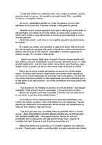 Referāts 'P.Koelju "Vienpadsmit minūtes"', 3.