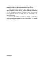 Referāts 'P.Koelju "Vienpadsmit minūtes"', 8.