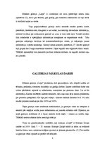 Referāts 'Galerijas "Laipa" analīze', 8.