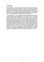 Referāts 'Organizāciju pastāvēšanas un attīstības nosacījumi', 7.