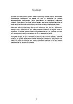 Referāts 'Organizāciju pastāvēšanas un attīstības nosacījumi', 9.