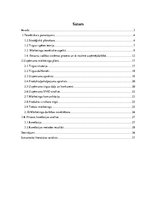 Referāts 'Uzņēmuma mārketinga plāns un tā resursu nodrošinājums', 2.