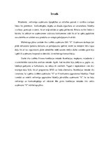 Referāts 'Uzņēmuma mārketinga plāns un tā resursu nodrošinājums', 3.