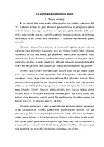 Referāts 'Uzņēmuma mārketinga plāns un tā resursu nodrošinājums', 17.