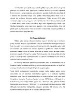 Referāts 'Uzņēmuma mārketinga plāns un tā resursu nodrošinājums', 18.