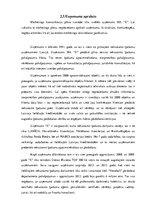 Referāts 'Uzņēmuma mārketinga plāns un tā resursu nodrošinājums', 19.