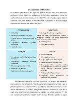 Referāts 'Uzņēmuma mārketinga plāns un tā resursu nodrošinājums', 22.