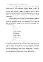 Referāts 'Uzņēmuma mārketinga plāns un tā resursu nodrošinājums', 24.