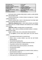 Referāts 'Pedagoģiskā procesa individualizācija pirmsskolā', 12.