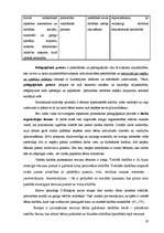 Referāts 'Pedagoģiskā procesa individualizācija pirmsskolā', 19.