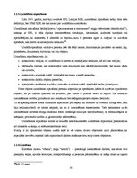 Diplomdarbs 'Eksperta atzinums kriminālprocesuālajā jomā', 32.