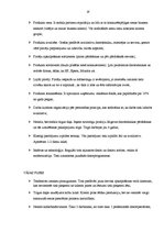 Prakses atskaite 'Prakses atskaiteSIA "Onego Lat"', 18.