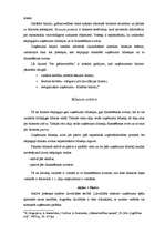 Konspekts 'Saimniecisko operāciju dokumenti un grāmatvedības uzskaites reģistri', 7.