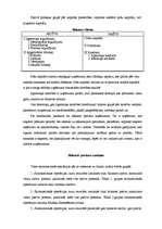 Konspekts 'Saimniecisko operāciju dokumenti un grāmatvedības uzskaites reģistri', 8.