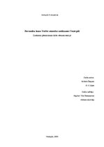 Referāts 'Personību loma Trešās atmodas notikumos', 1.
