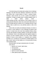 Referāts 'A/s "Dzintars" tirgus analīze', 2.