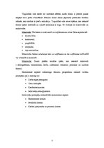 Referāts 'A/s "Dzintars" tirgus analīze', 4.