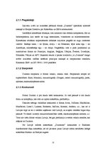 Referāts 'A/s "Dzintars" tirgus analīze', 8.